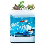 Аква-ферма Descriptive Geometry Mini Lazy Fish Tank