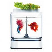 Аквариум Geometry Mini Lazy Fish Tank Pro C300